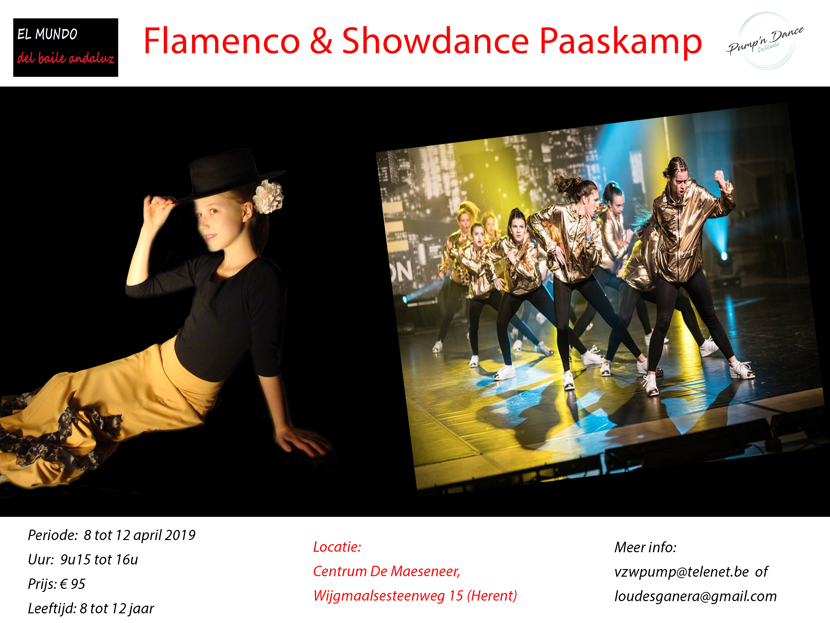 danskamp flamenco showdans